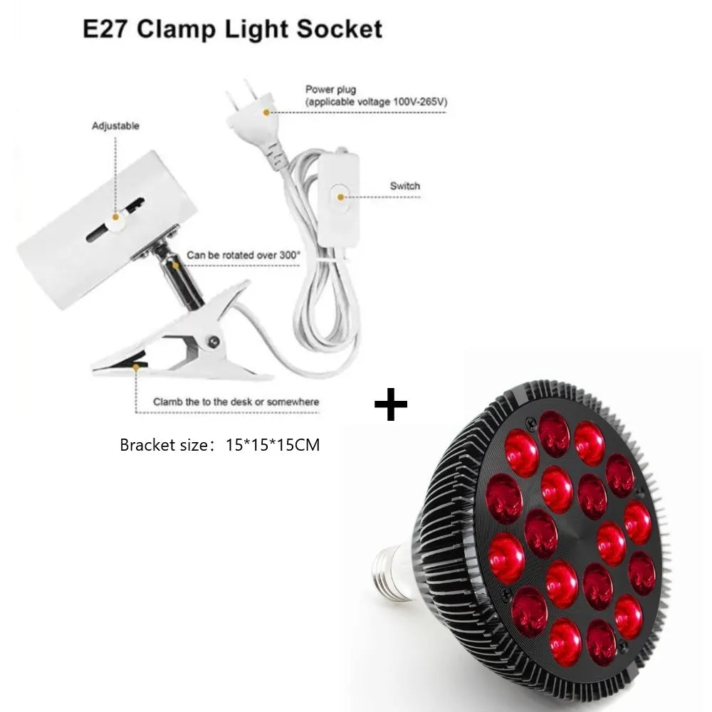 43526796411076|43526796542148